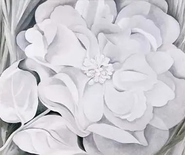 White Flower Georgia O'Keeffe